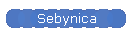 Sebynica